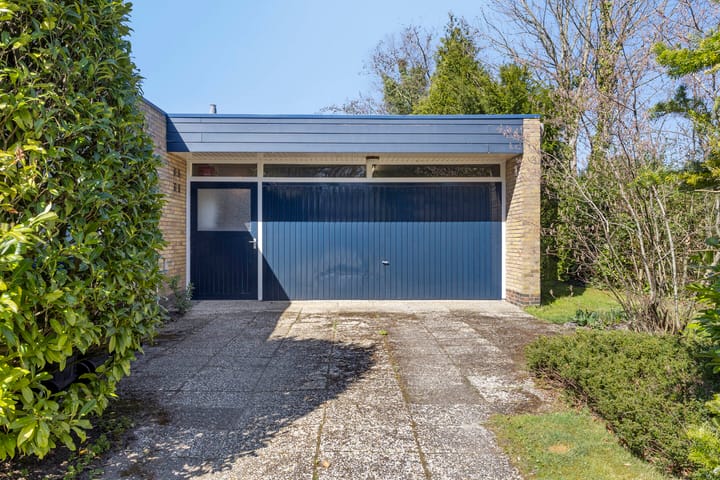 Foto 55 van Albert Schweitzerplantsoen 15