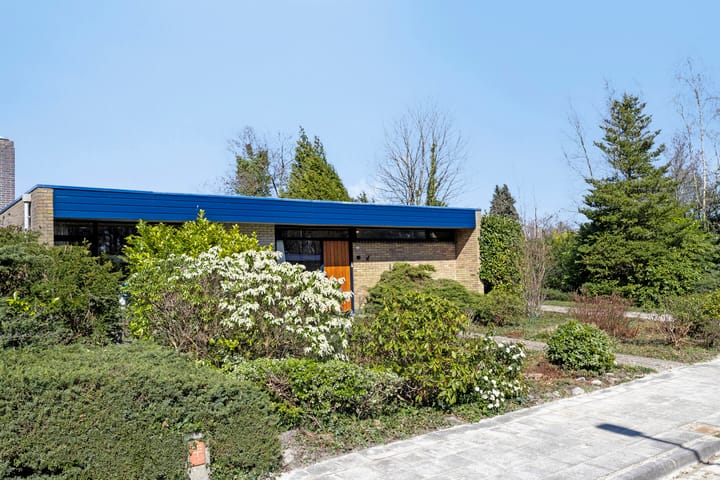 Foto 56 van Albert Schweitzerplantsoen 15