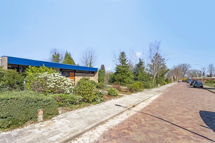 Foto 57 van Albert Schweitzerplantsoen 15