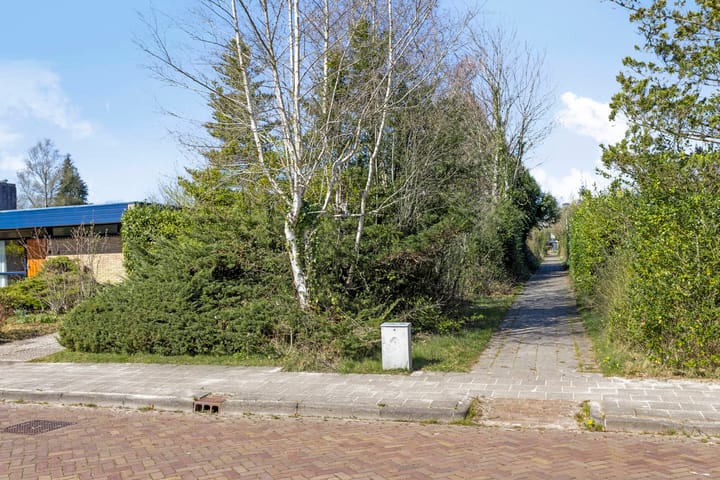 Foto 58 van Albert Schweitzerplantsoen 15