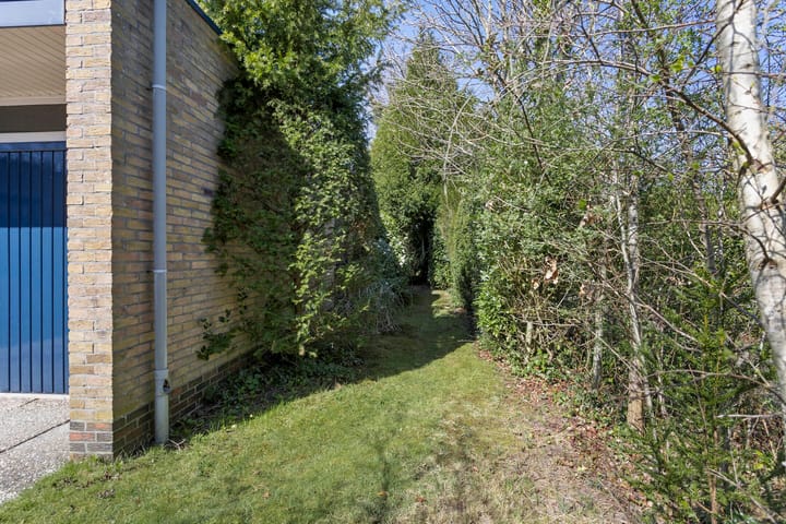 Foto 59 van Albert Schweitzerplantsoen 15