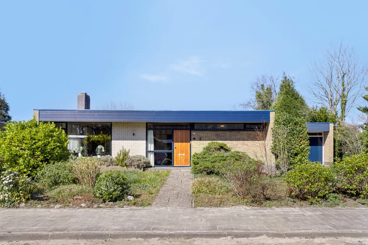 Foto 64 van Albert Schweitzerplantsoen 15