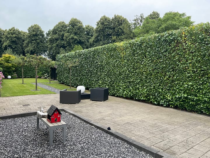 Foto 3 van Gasthuisstraat 25