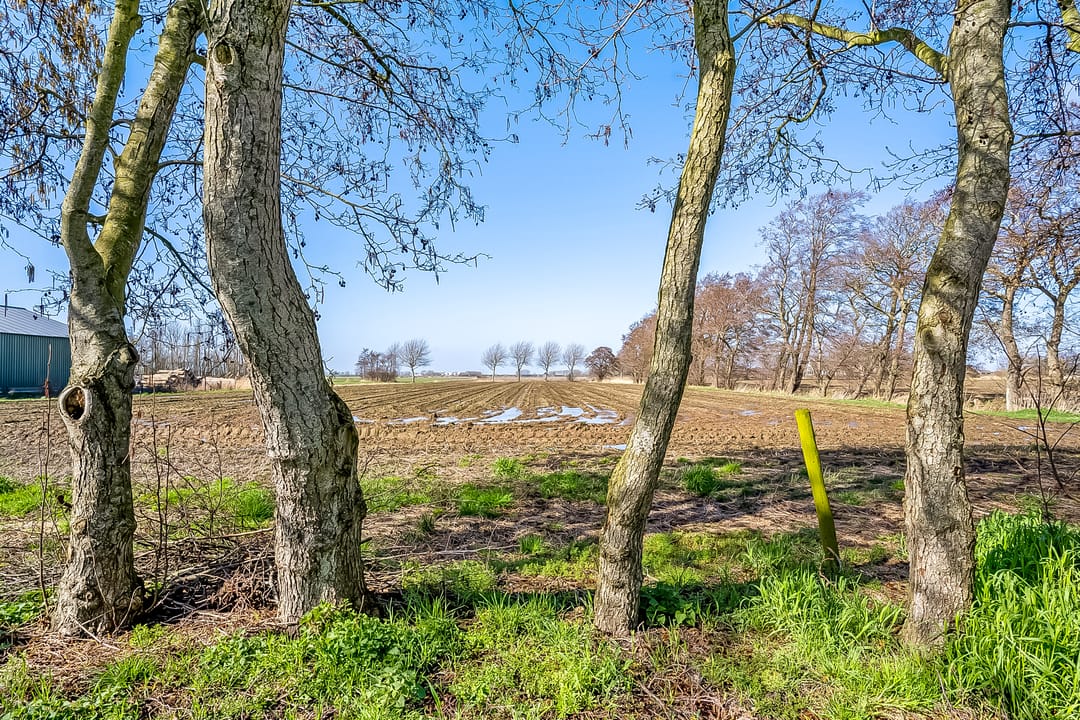 Foto 73 van Kleasterwei 4