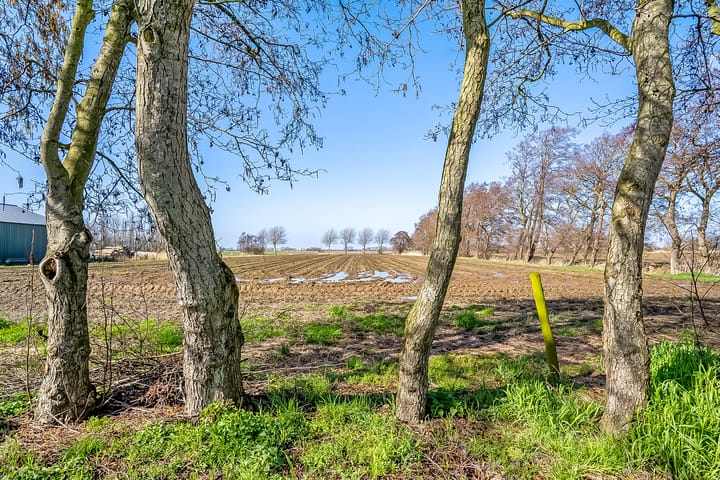 Foto 73 van Kleasterwei 4