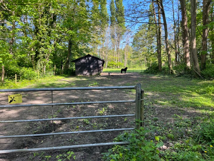 Photo 24 of Kloosterweg 23