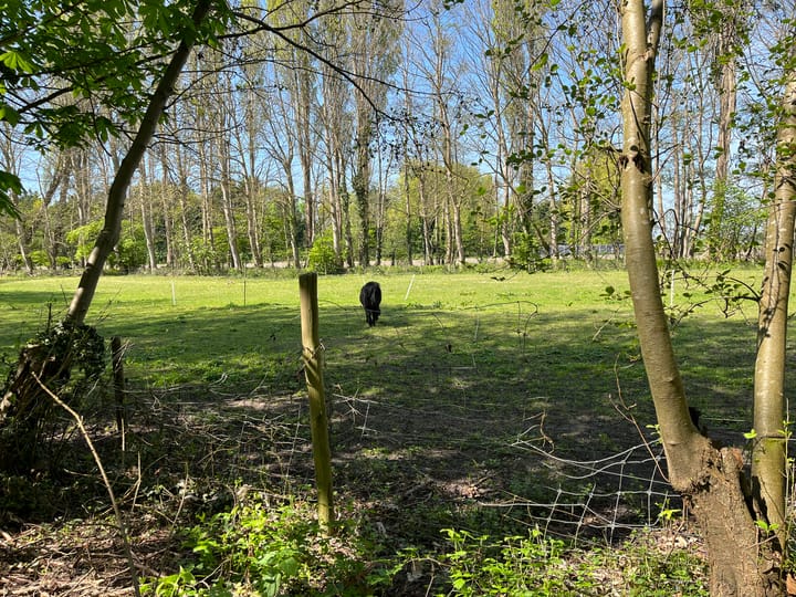 Photo 25 of Kloosterweg 23