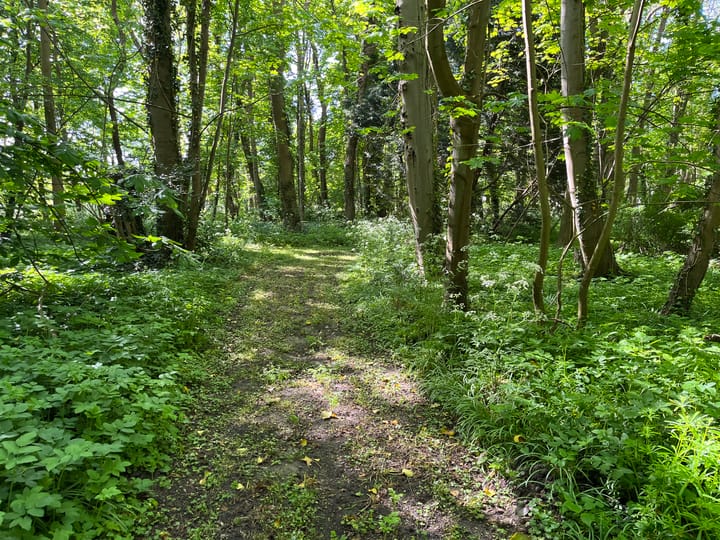 Photo 26 of Kloosterweg 23