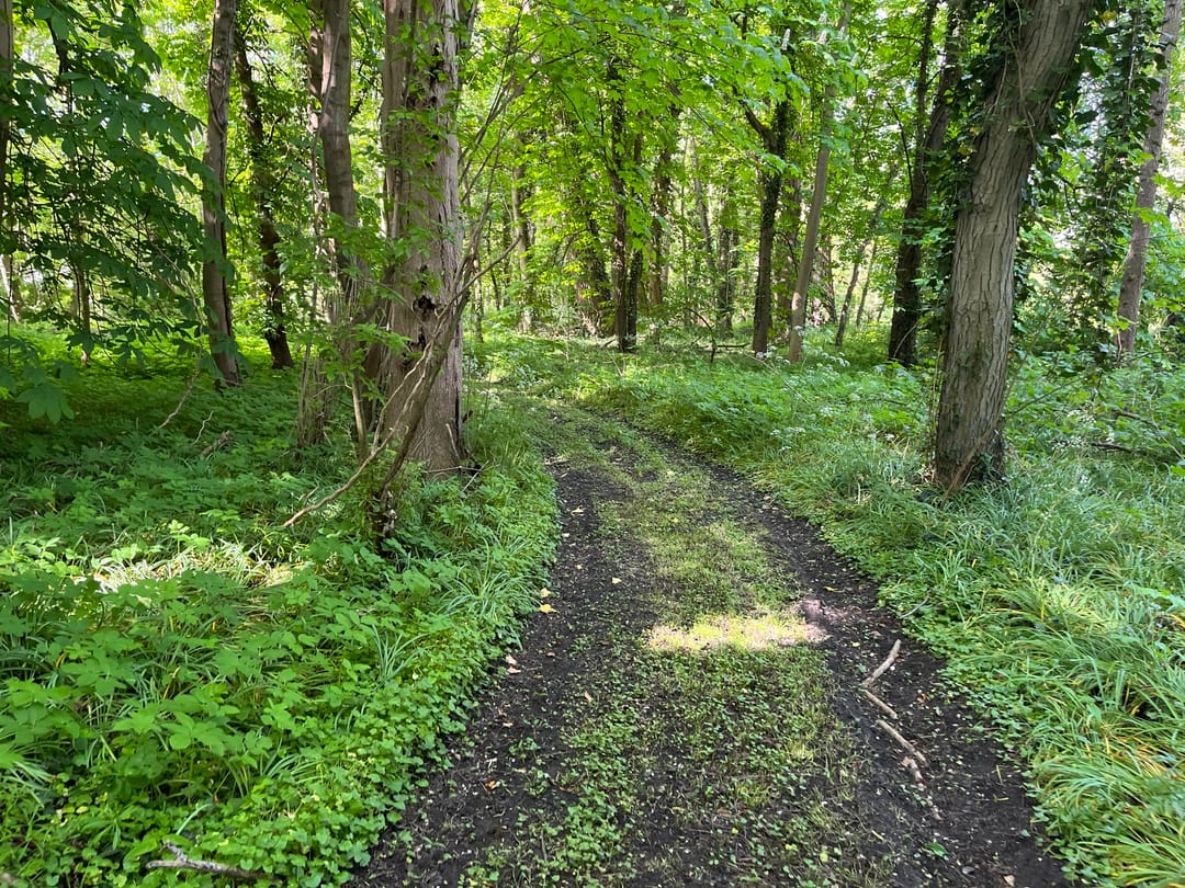 Foto 28 van Kloosterweg 23