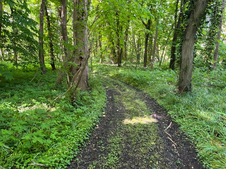 Photo 28 of Kloosterweg 23