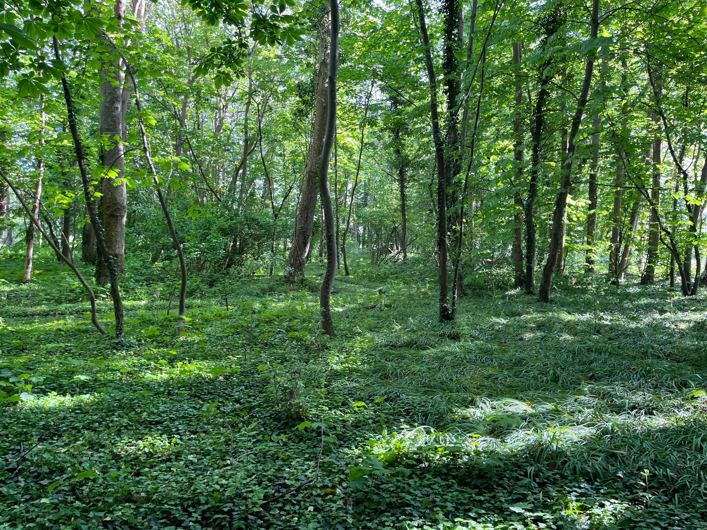 Foto 29 van Kloosterweg 23