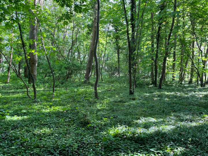 Photo 29 of Kloosterweg 23