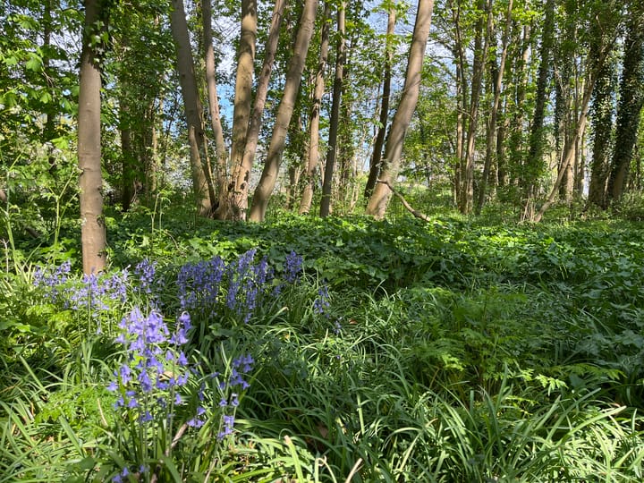 Photo 30 of Kloosterweg 23