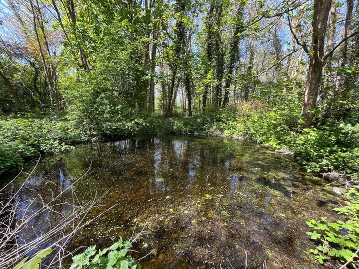 Photo 31 of Kloosterweg 23