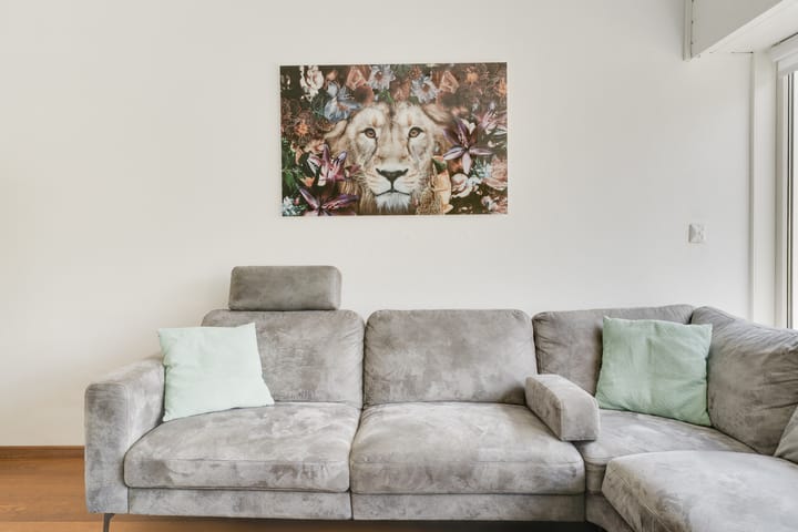 Foto 13 van Apollolaan 12