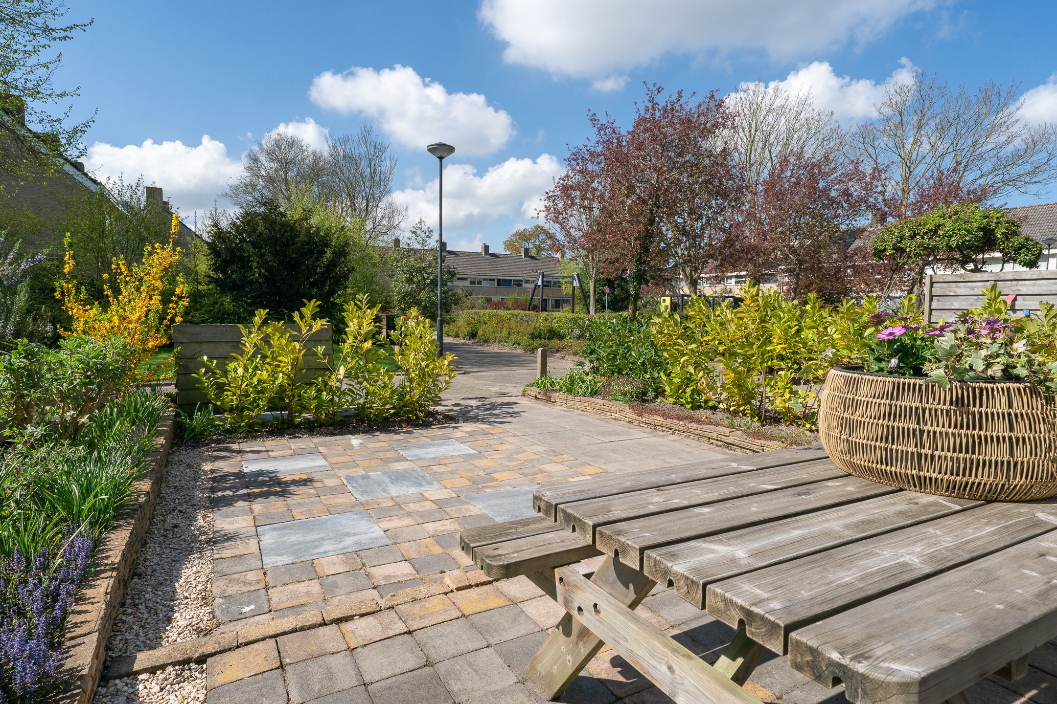 Foto 51 van Apollolaan 12