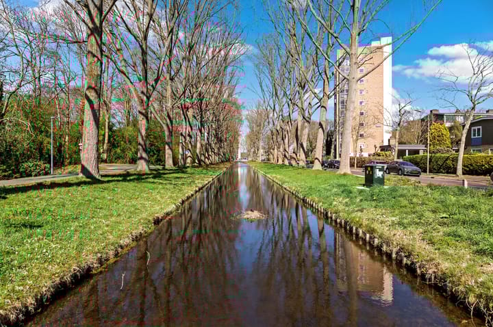 Foto 71 van Waterloop 14