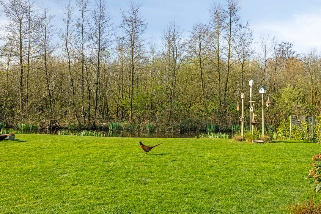 Foto 2 van Klein Hitland 276-A