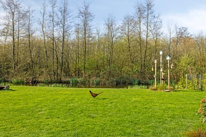 Foto 2 van Klein Hitland 276-A