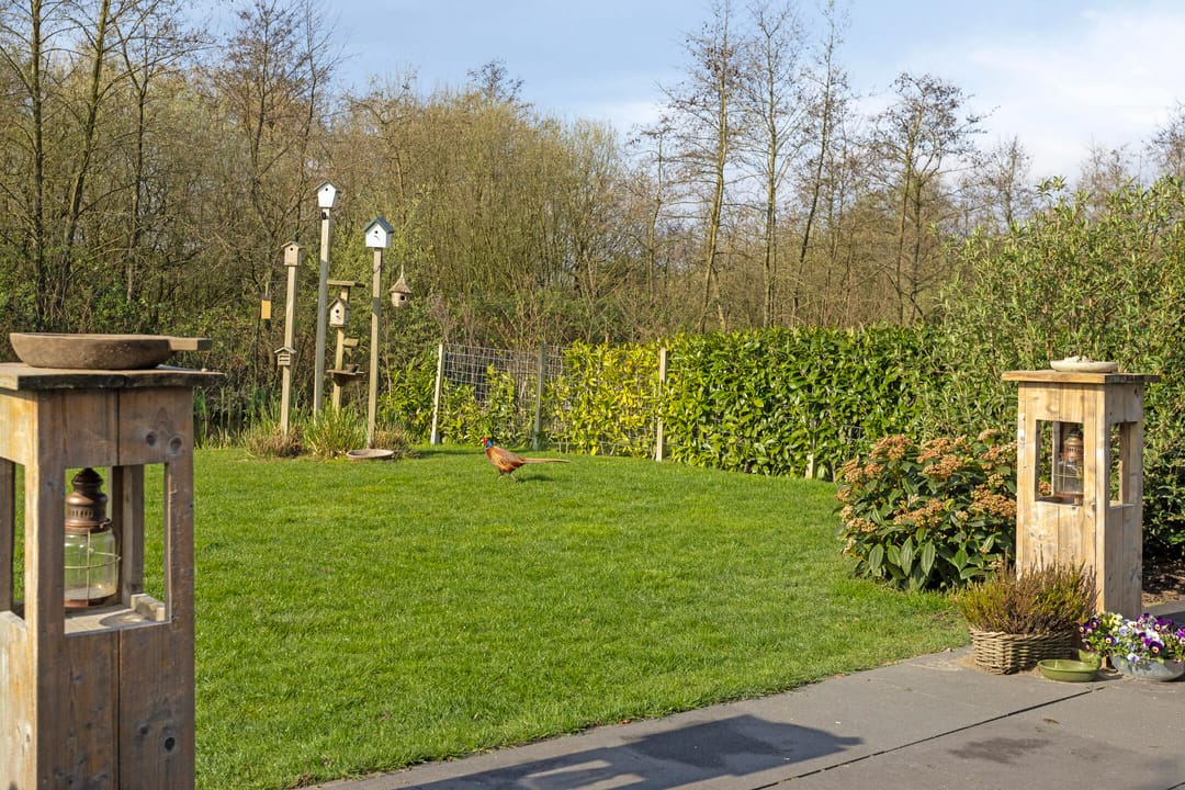 Foto 11 van Klein Hitland 276-A