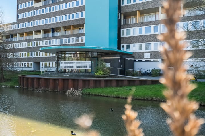 Foto 4 van Sloep 197