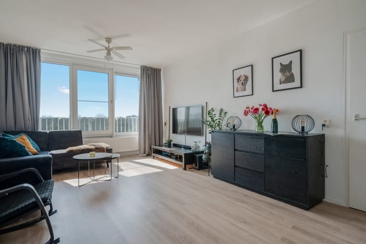 Foto 11 van Sloep 197