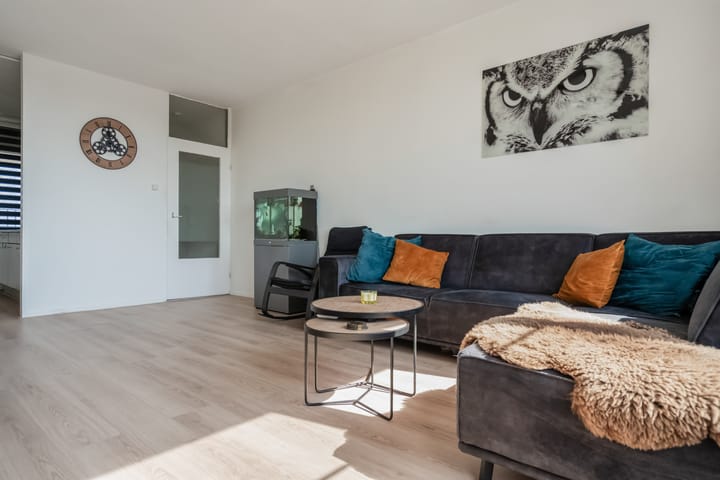 Foto 13 van Sloep 197