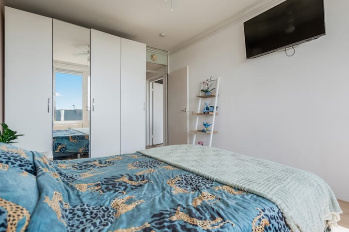 Foto 22 van Sloep 197