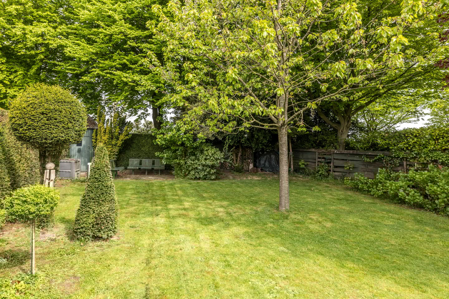 Photo 34 of Dalstraat 23