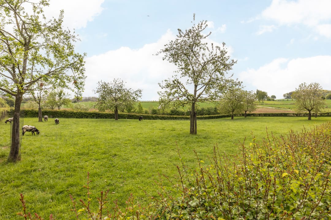 Photo 38 of Dalstraat 23