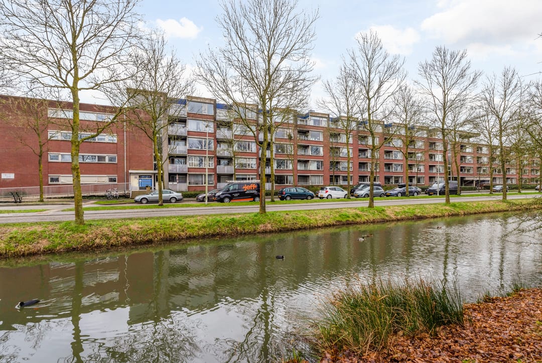 Foto 1 van Pyramideboomgaard 410