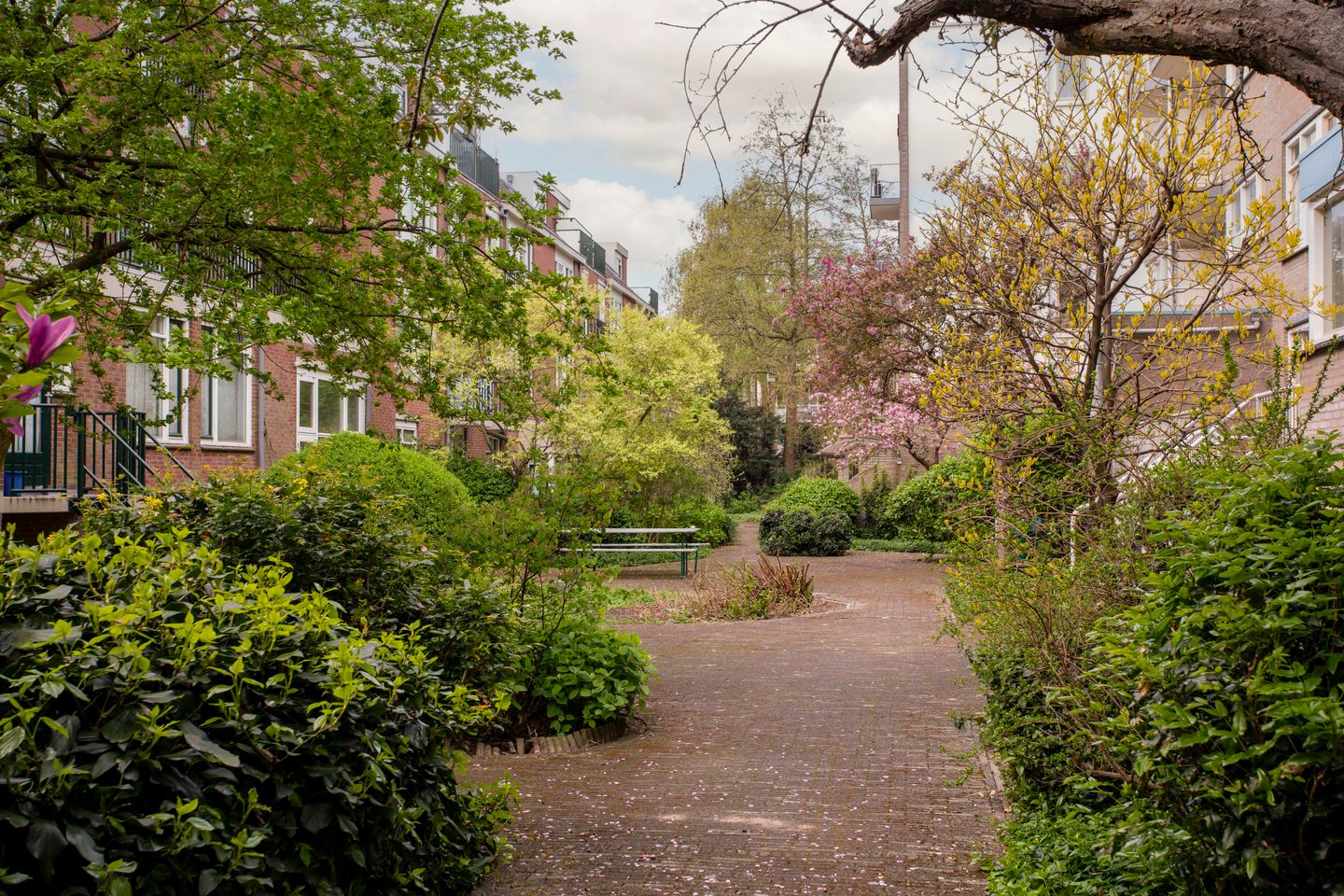 Foto 20 van Reinwardtstraat 55-B