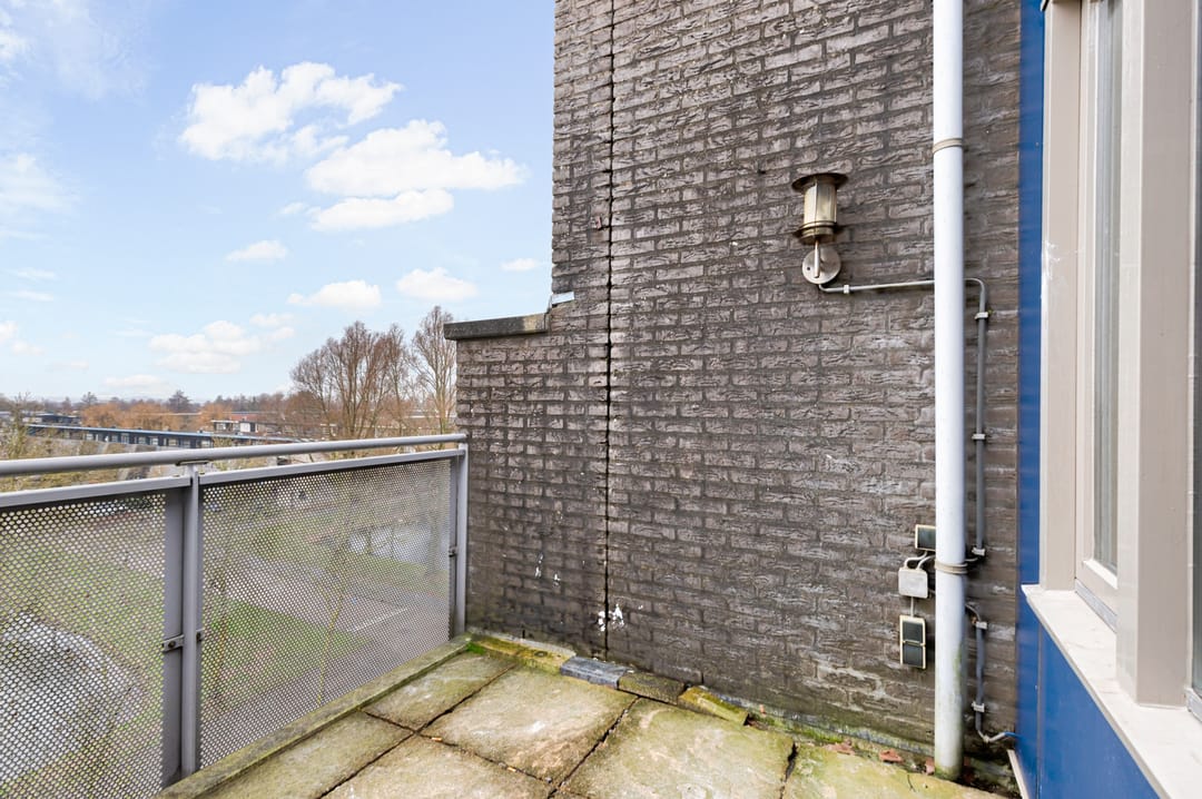 Foto 23 van Pyramideboomgaard 410