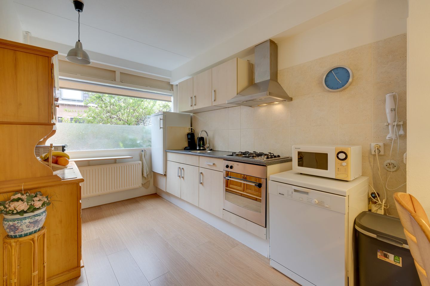 Foto 14 van Penningkruid 54