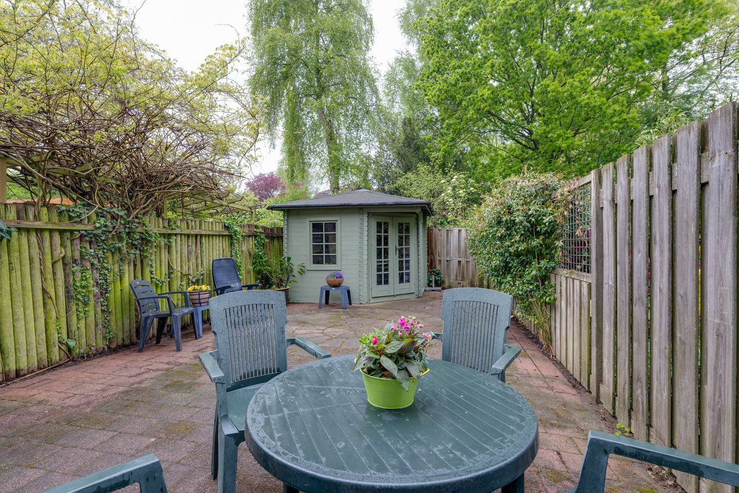 Foto 19 van Penningkruid 54