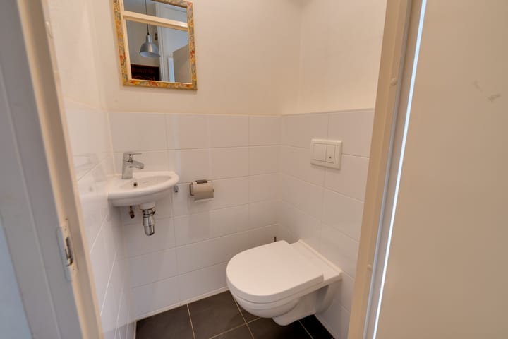 Foto 24 van Penningkruid 54