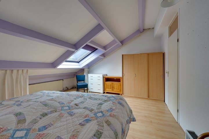 Foto 28 van Penningkruid 54