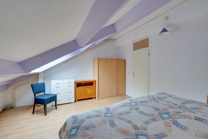 Foto 29 van Penningkruid 54