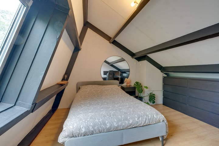 Foto 38 van Penningkruid 54