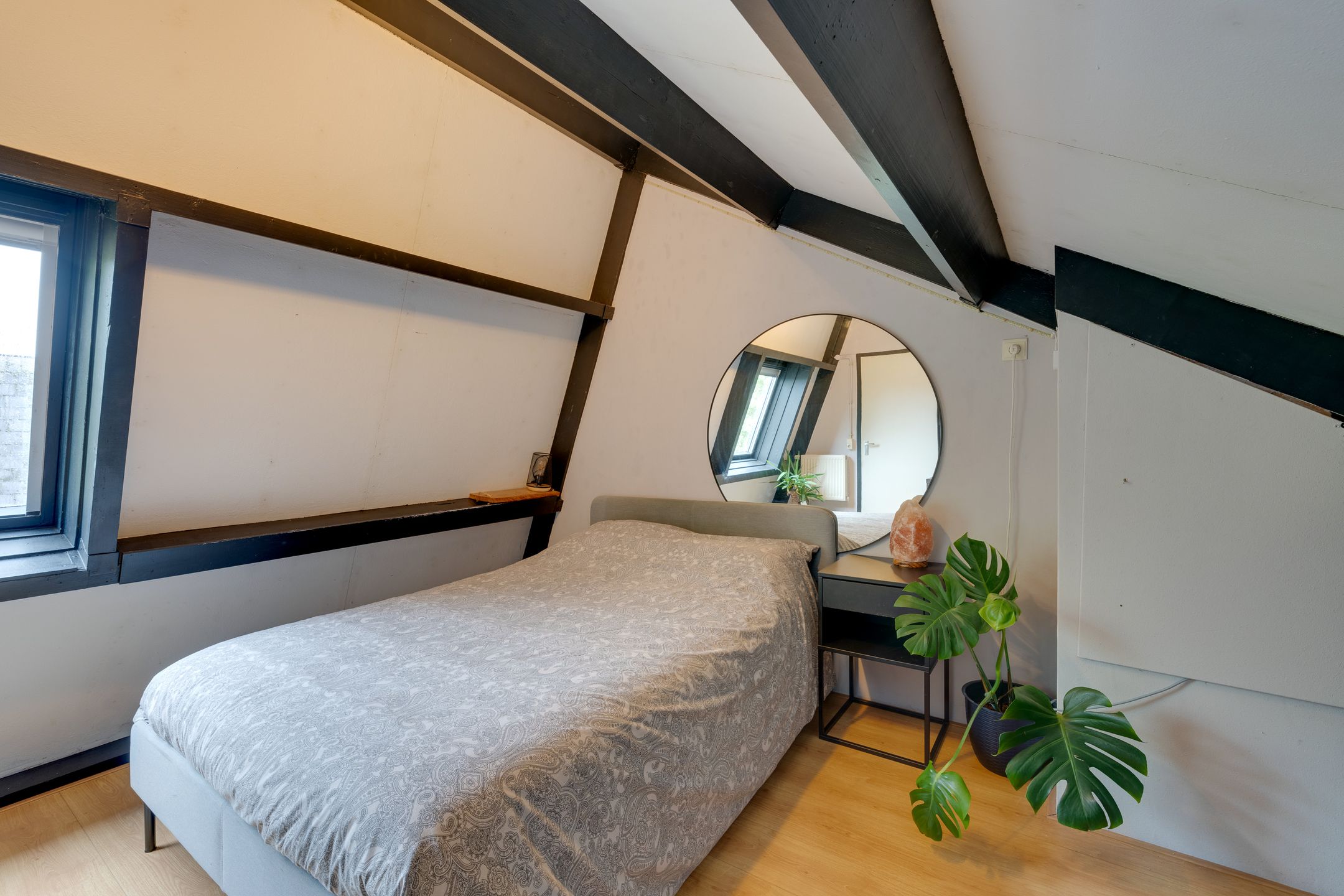 Foto 39 van Penningkruid 54