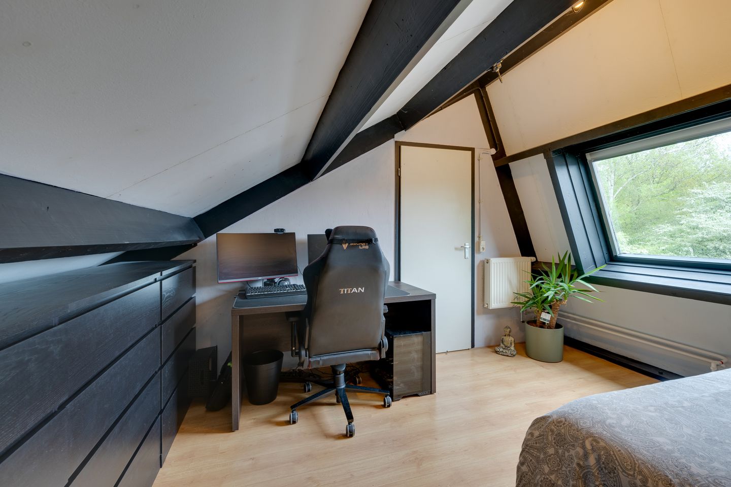 Foto 40 van Penningkruid 54