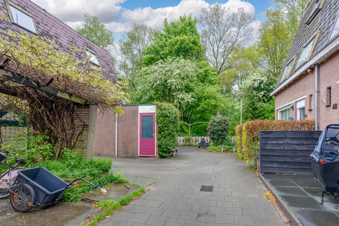 Foto 41 van Penningkruid 54