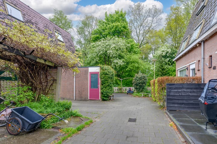 Foto 41 van Penningkruid 54