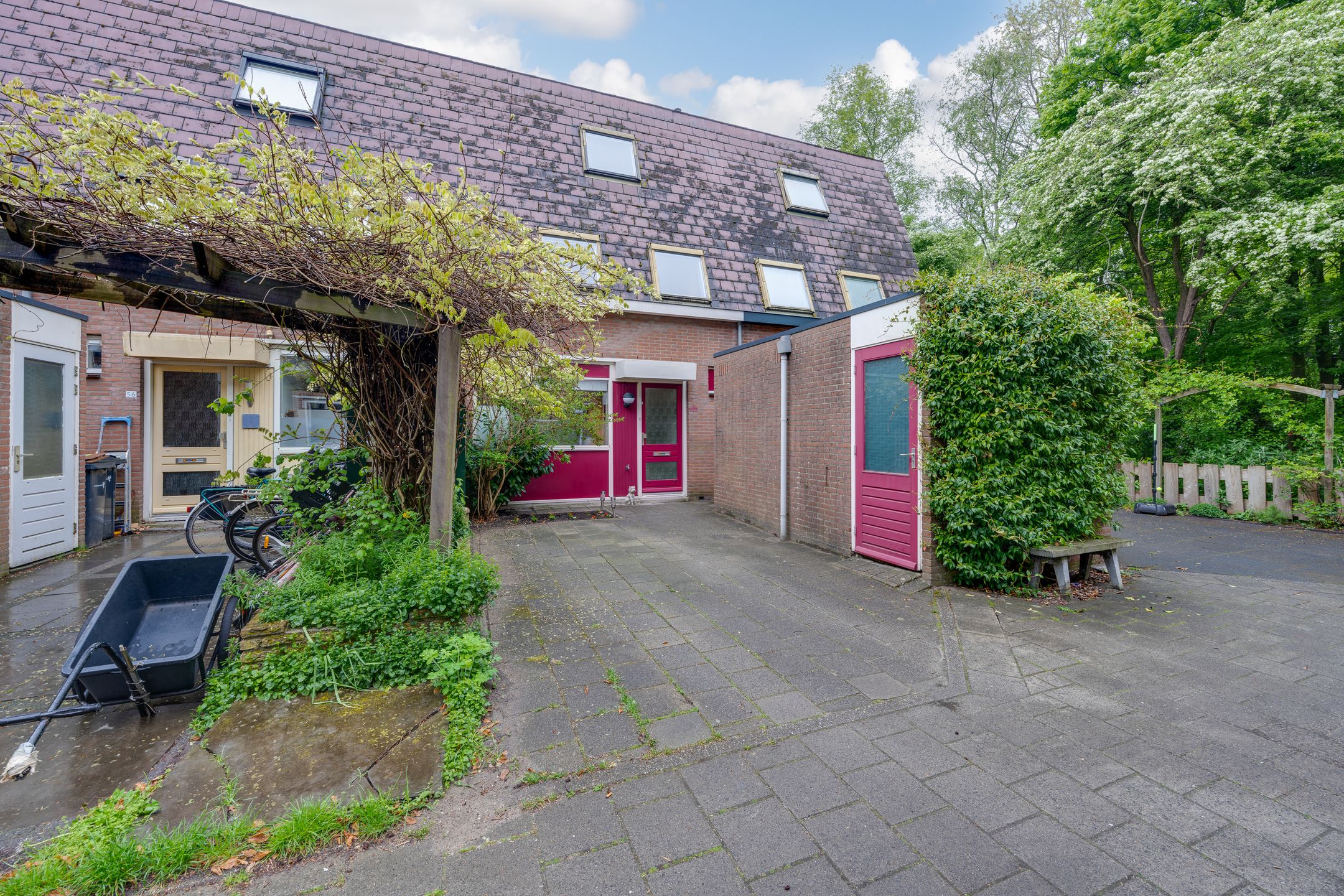 Foto 42 van Penningkruid 54