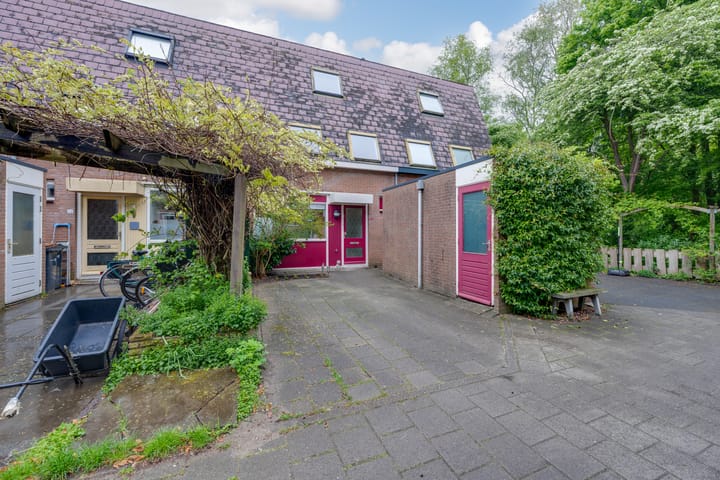 Foto 42 van Penningkruid 54