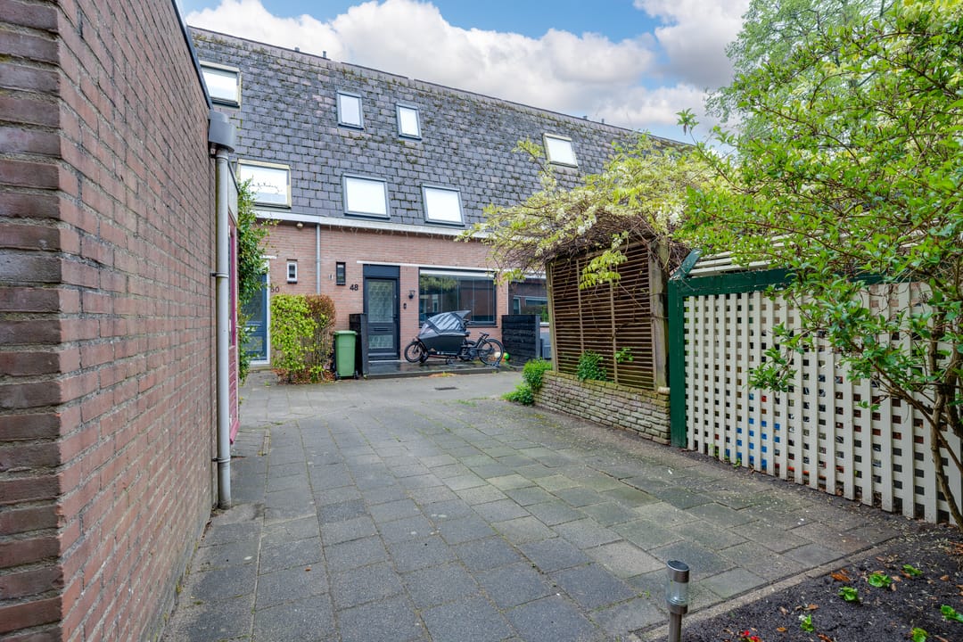 Foto 43 van Penningkruid 54