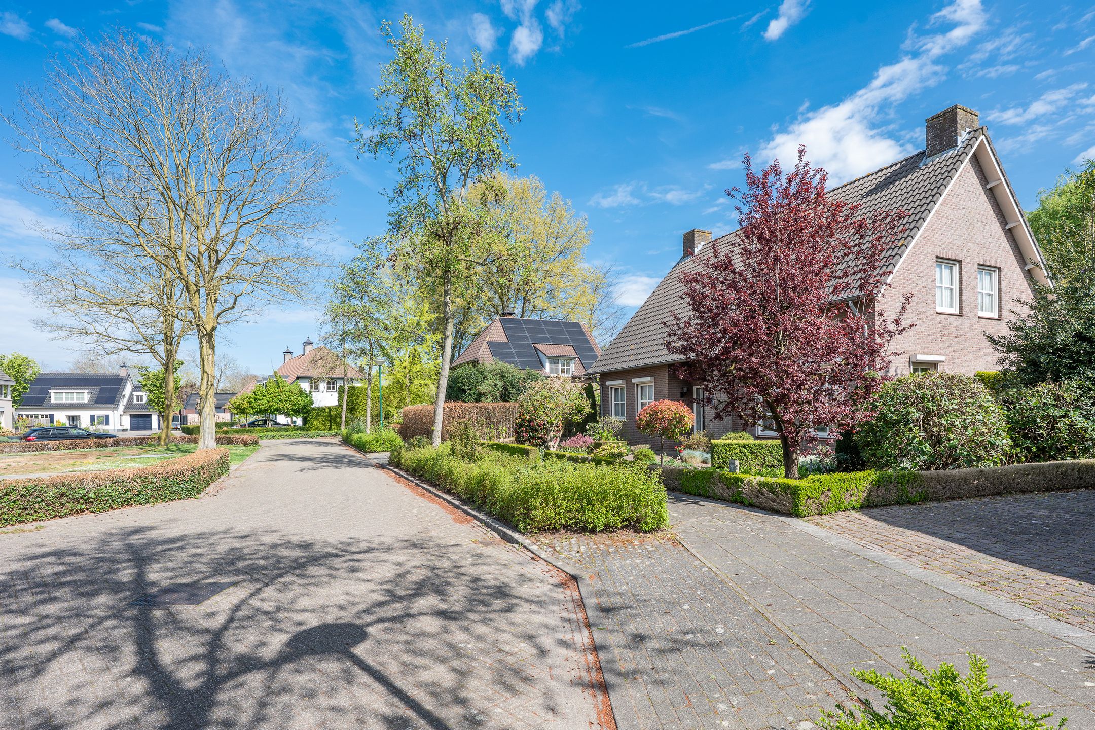 Foto 9 van De Elshorst 22