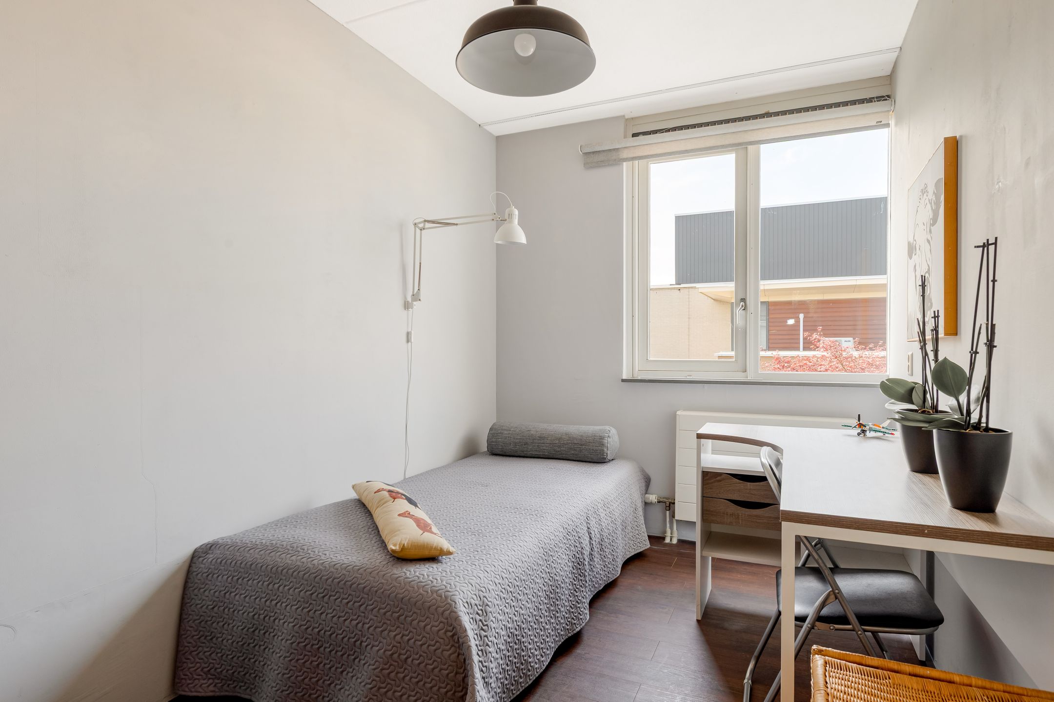 Photo 33 of Cissy van Marxveldtstraat 26