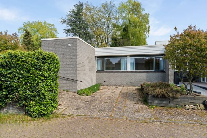 Foto 1 van Gors 45