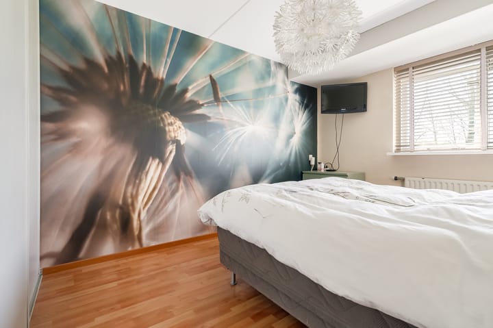 Foto 29 van Gipskruidweg 221